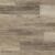 Banded Olive