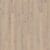 Oak Mostra
