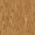 Oak Lecco