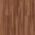 Sugar Maple